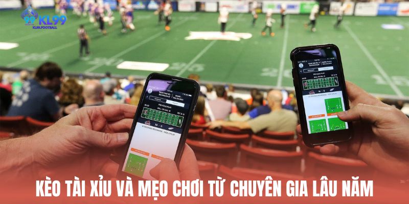 Kèo tài xỉu và mẹo chơi từ chuyên gia lâu năm